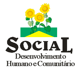 Social Desenvolvimento Humano e Comunitário